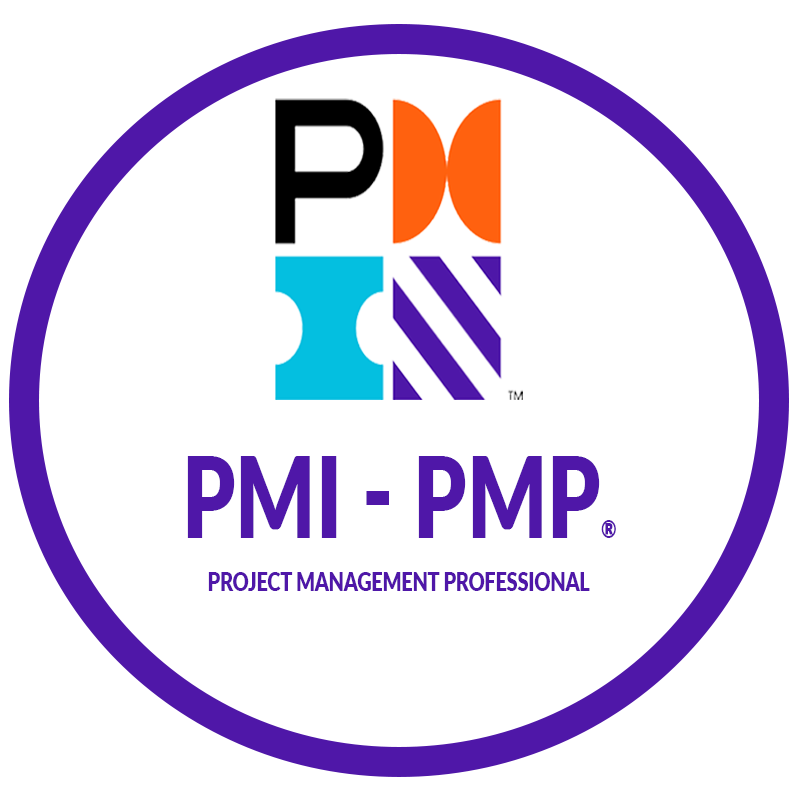 PMI PMP 2020 800800